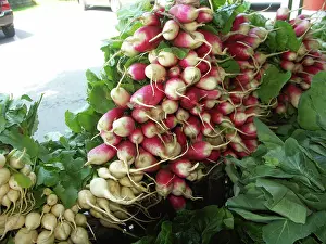 Strong: Radishes