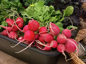 Strong: Radishes