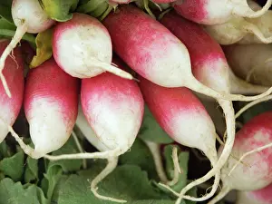 Strong: Radishes