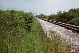 Clay: Railway line on calcareous clay. Broad margins -