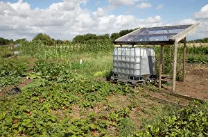 Tanks: Rain Water Collection for vegetable growing in allotments