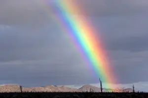 Rainbows: Rainbow