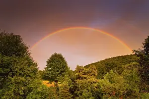 Rainbows: Rainbow, appearing in double form over woodland