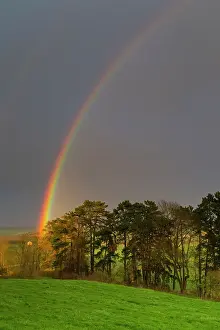 Rainbows: Rainbow, appearing over woodland, Lower Saxony, Germany