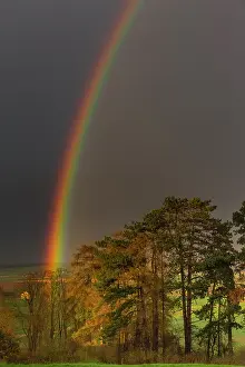 Rainbows: Rainbow, appearing over woodland, Lower Saxony, Germany