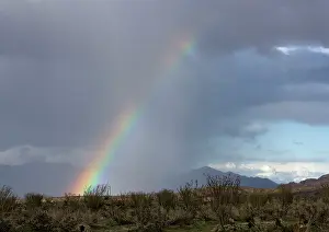 Nino: Rainbow in the desert; el nino year