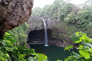 Grotto: Rainbow Falls, waterfalls, near Hilo, Big Island