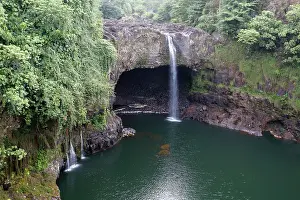 Grotto: Rainbow Falls, waterfalls, near Hilo, Big Island