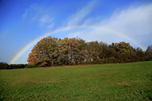 Prismatic: Rainbow over field and woodland near Eschweiler
