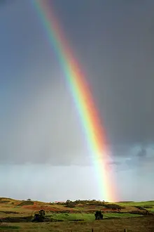 Showers: Rainbow - and March showers