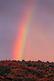 Rainbows: Rainbow over Reinhardswald forest in autumn early