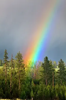Rainbows: Rainbow - and thunderstorm - beside Tower Falls