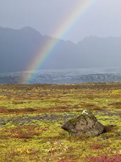 Shower: Rainbow over tundra with wild flowers, Iceland