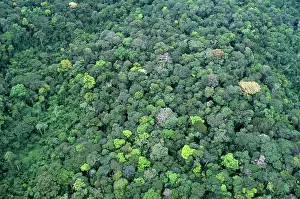 Amazonas: Rainforest - aerial view of Amazon forest