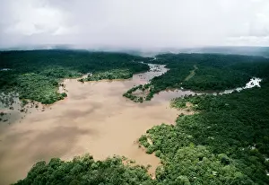Basin: Rainforest - Aerial White Water River, Amazonia