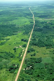 Para: Rainforest destruction