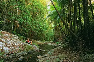 Ecotourist: Rainforest - Ecotourist enjoys the natural subtropical