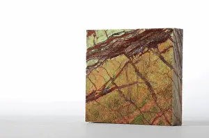 Fancy: Rainforest Green Marble
