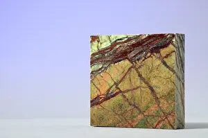 Fancy: Rainforest Green Marble
