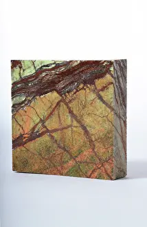 Fancy: Rainforest Green Marble