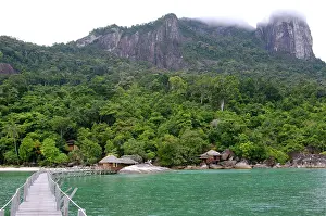 Jettys: Rainforest, a jetty and a wooden cabins of the