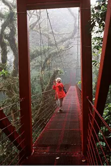 Suspension: RAINFOREST- New Sky Walk / Trail bridge / Suspension