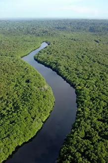 Sandakan: Rainforest and a river near Sekong Bay, near Sandakan