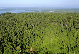 Sandakan: Rainforest and Sekong Bay near Sandakan