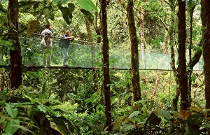 Suspension: RAINFOREST - Sky Walk / Trail bridge / Suspension