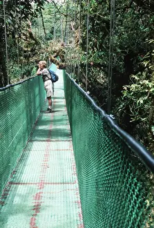 Suspension: RAINFOREST- Sky Walk / Trail bridge / Suspension