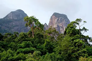 Slopes: Rainforest on the slopes of Twin Peaks