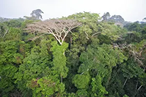Upstream: Rainforest - upstream from Puerto Maldonado