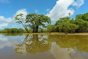 Mirrors: Rainforest vegetation reflected in Laguna Grande