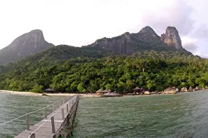 Jettys: Rainforest, volcanic Twin Peaks - Bukit Batu