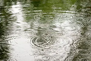 2007: Raining - rain drops on pond summer 2007
