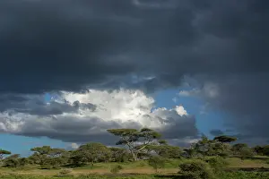 Ndutu: Rainstorm approaching Ndutu, Ngorongoro Conservation
