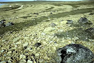 Cambridge: Raised beaches, Nunavut, Canada