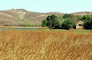 Rajbagh: Rajbagh Lake