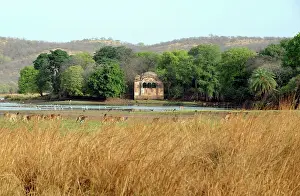 Habtiat: Rajbagh Lake