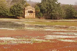 Rajbagh: Rajbagh palace