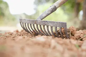 Rake: Rake