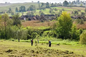 Transylvania: Raking up the hay in field at Crit, Transylvania, Romania
