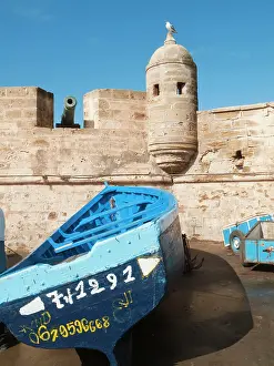 Essaouira: Rampart with cannon and seagull at the fishing