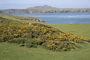 Pembrokeshire: Ramsay Island from coast overlooking Ransay Sound
