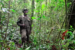 Bwindi: Ranger of the park looking after the gorillas