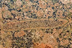 Rapa: Rapa Kivi Granite