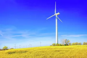 Economy: rape field with a wind turbine against a blue sky