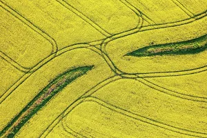 Rapeseed: Top Down over Rapeseed fields and Farmlands from