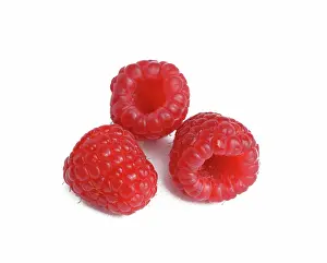 Raspberries: Raspberries