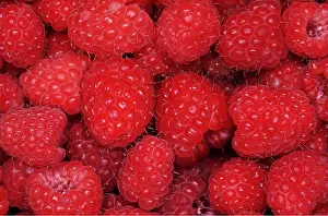 Raspberries: RASPBERRIES
